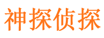 安居市婚姻调查